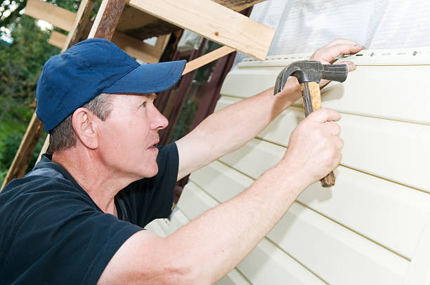 Best Siding Removal and Disposal  in Pingree Grove, IL