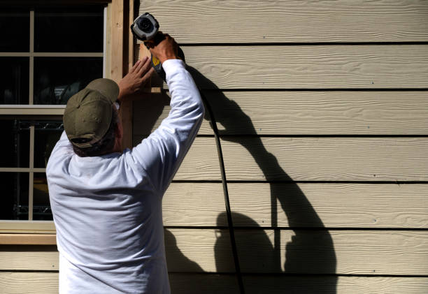 Best Historical Building Siding Restoration  in Pingree Grove, IL